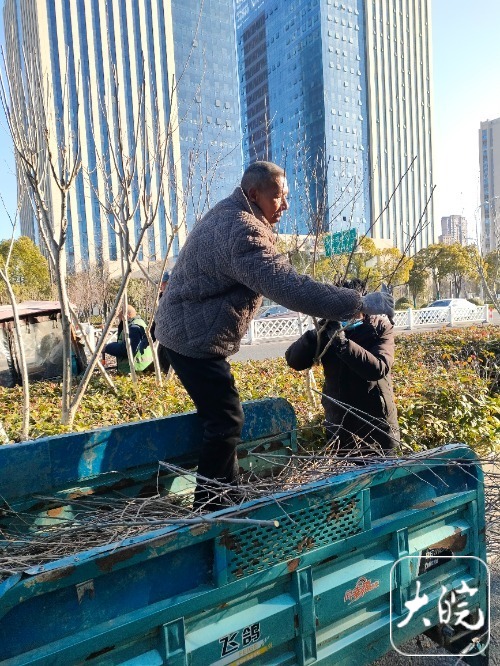 临夏县：“鲜花经济”一路繁花
