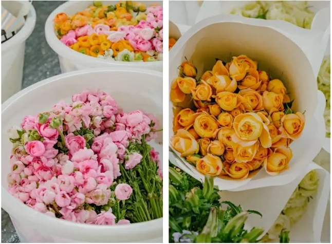 探秘斗南新花农直播间，看他们如何在春天向全国传递美好