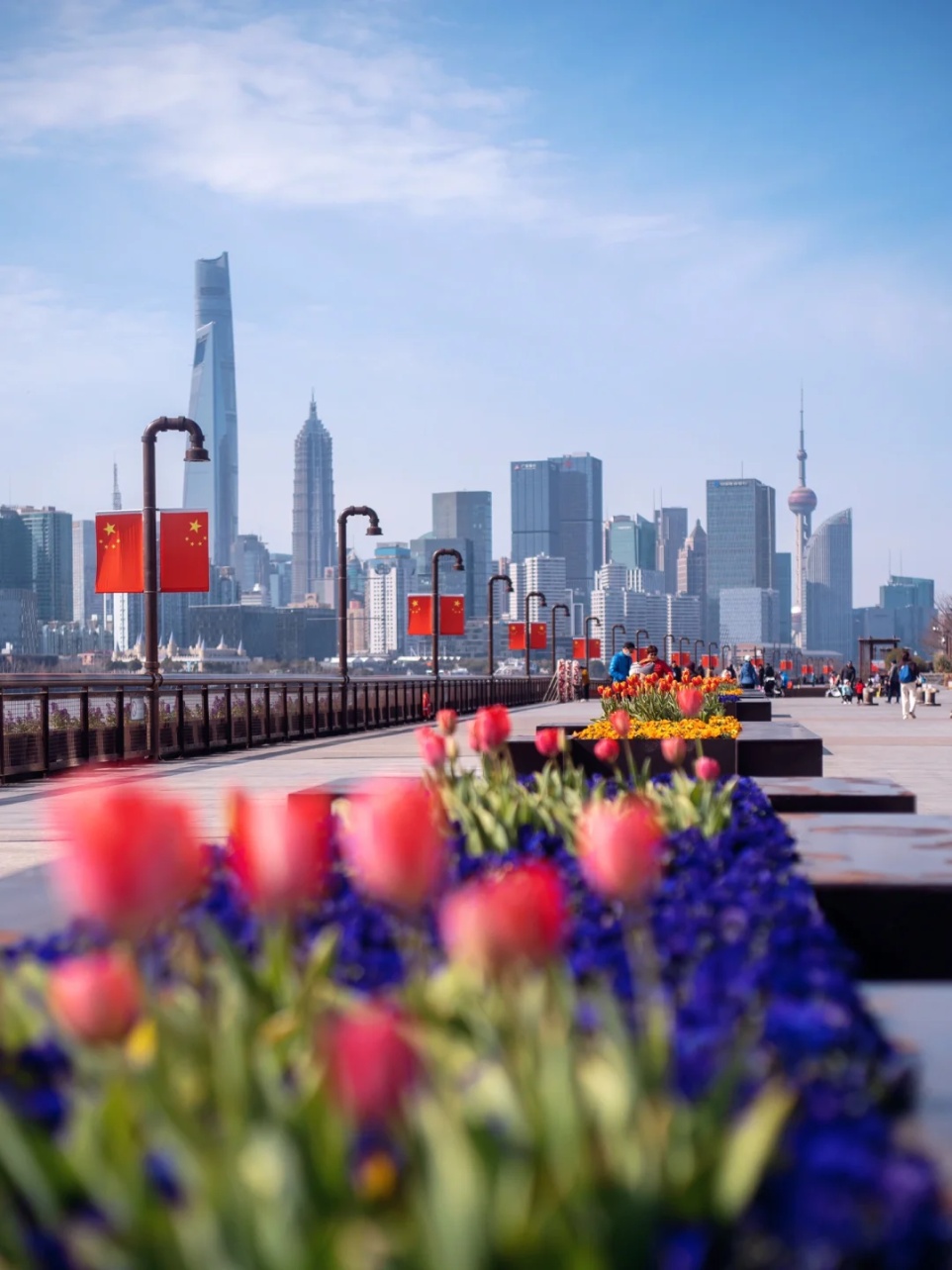 郁金香、水仙花、蔷薇花墙……人少景美的宝藏滨江太浪漫了！